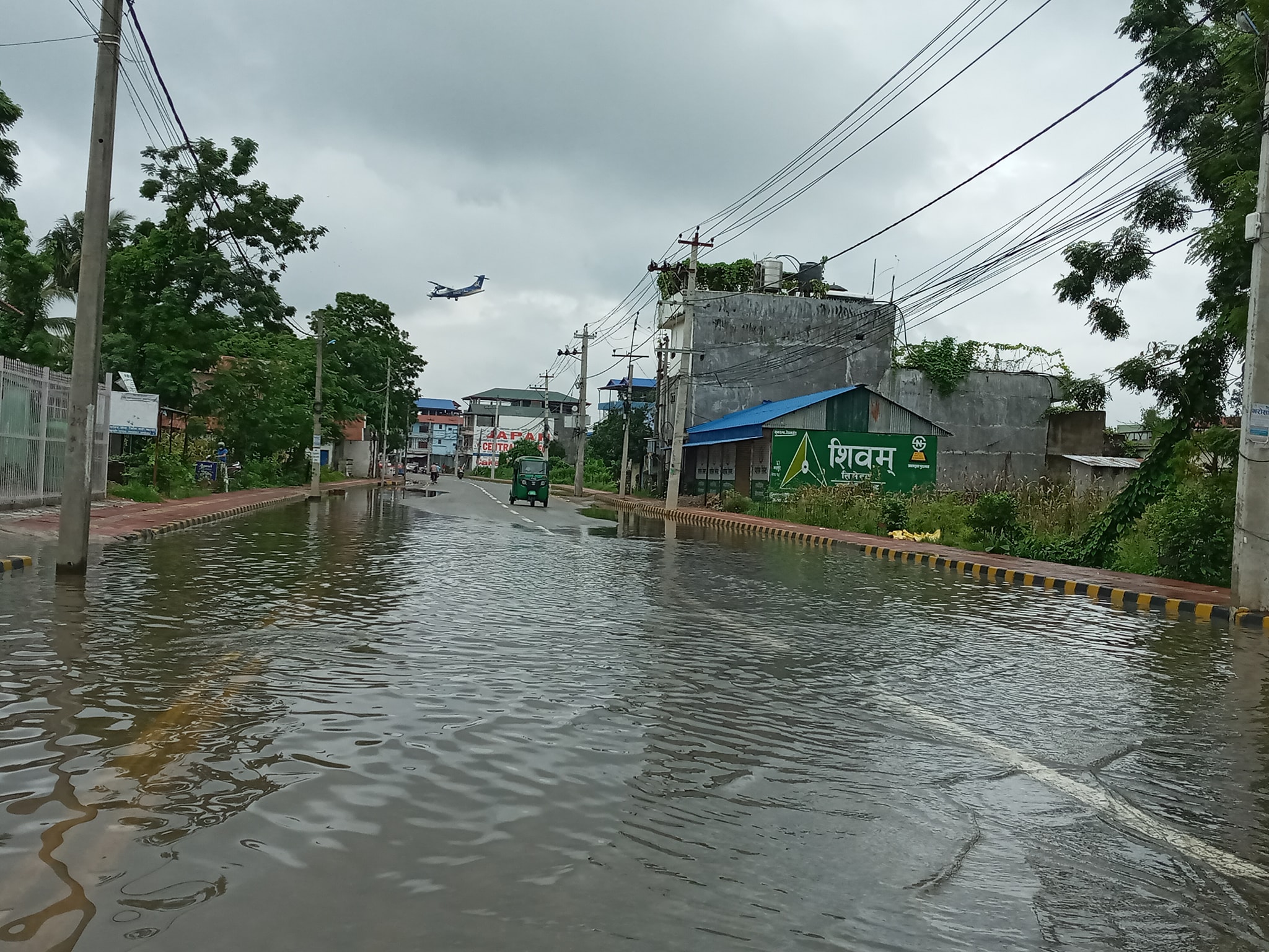 सरकारले आज बाघको संख्या सार्वजनिक गर्दै