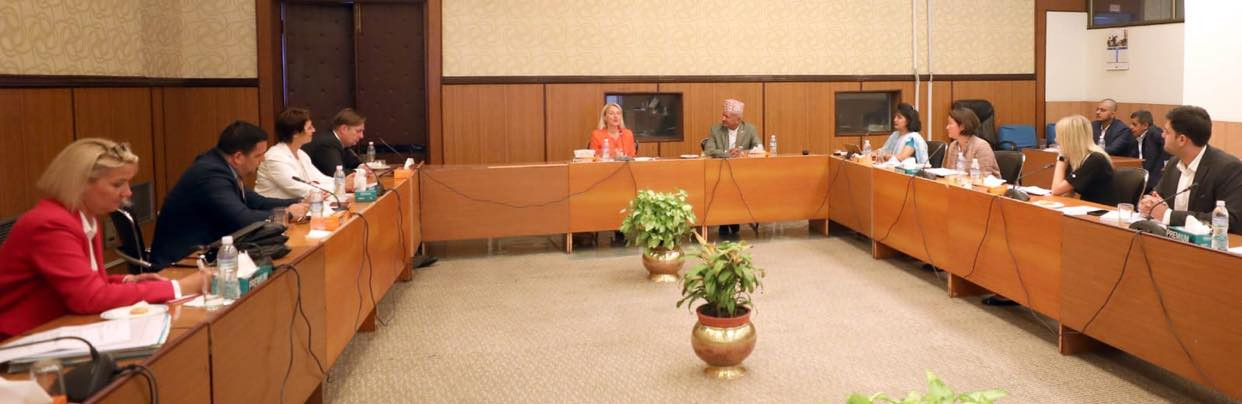 युरोपेली सांसदको टोली एमाले उपमहासचिव ज्ञवालीबीच भेटवार्ता