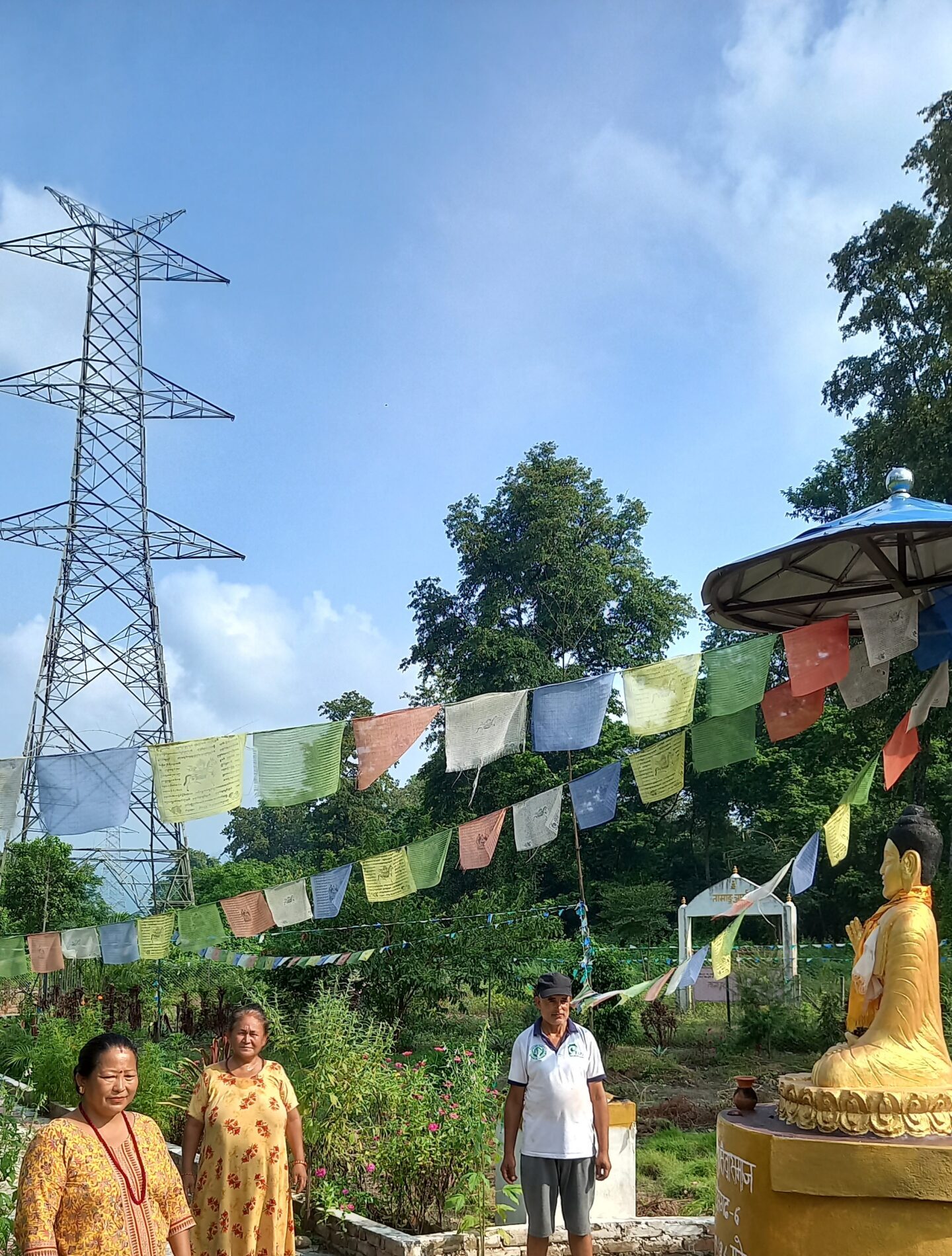 वन संरक्षणको उदाहरणः हाइटेन्सन लाइनमुनि इको पार्क र वृक्षारोपण