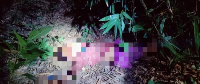 महोत्तरीमा घाँस काटन गएकी महिला मृत फेला