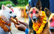 यमपञ्चकको तेस्रो दिन : कुकुर तिहार, लक्ष्मीपूजा तथा नरक चतुर्दशी