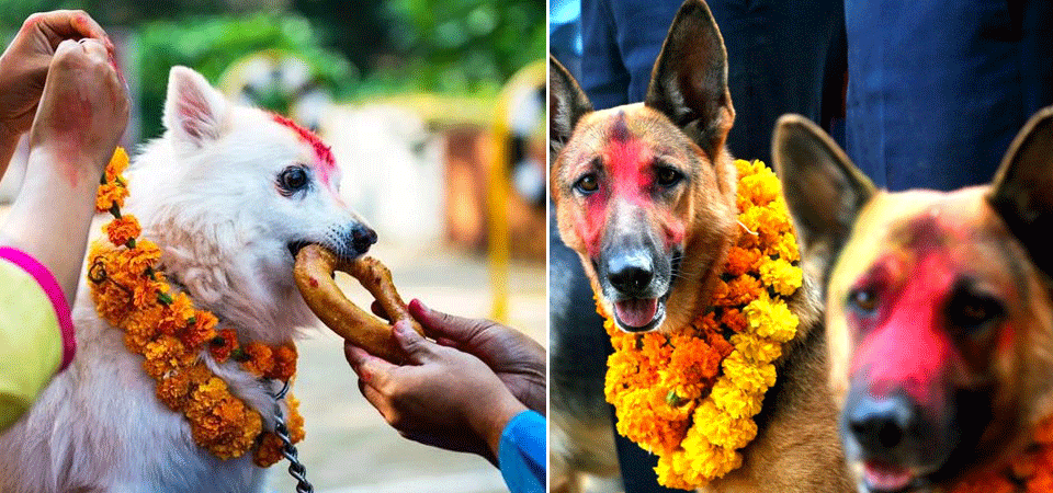 यमपञ्चकको तेस्रो दिन : कुकुर तिहार, लक्ष्मीपूजा तथा नरक चतुर्दशी