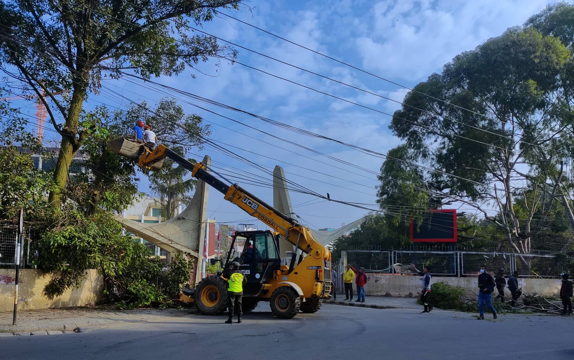 हाइटेन्सन लाइनका लागि जोखिम भएका रुखका हाँगा हटाउँदै महानगर