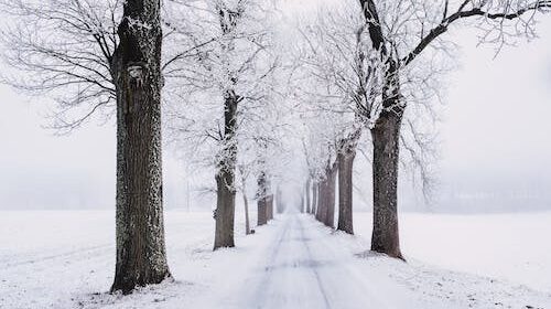 हिमाली भू–भागका केहि स्थानमा वर्षा र हिमपातको सम्भावना