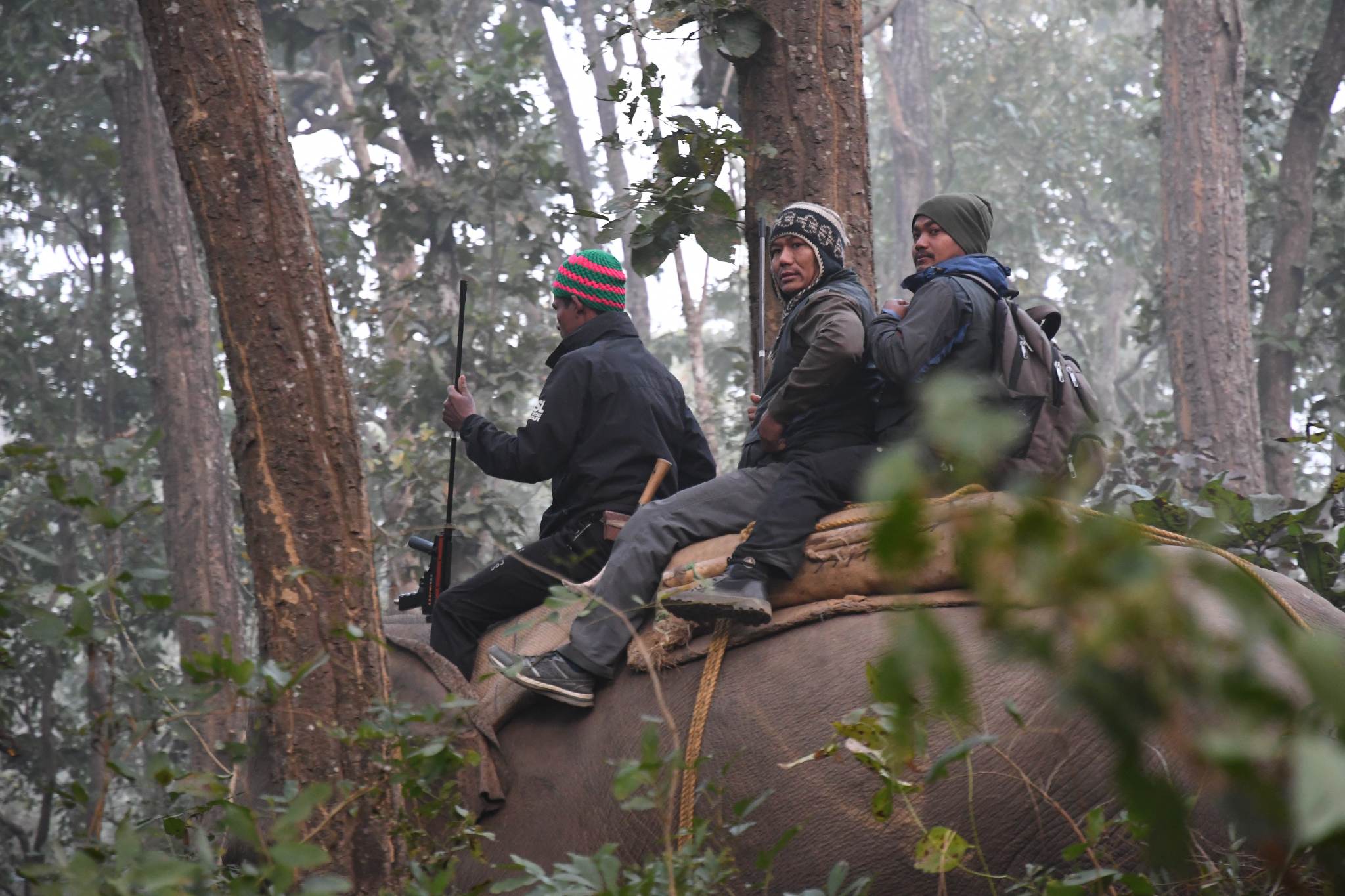 हिंस्रक जनावरको उद्धार गर्ने वन्यजन्तु प्राविधिक तिर्थ लामाको कथा