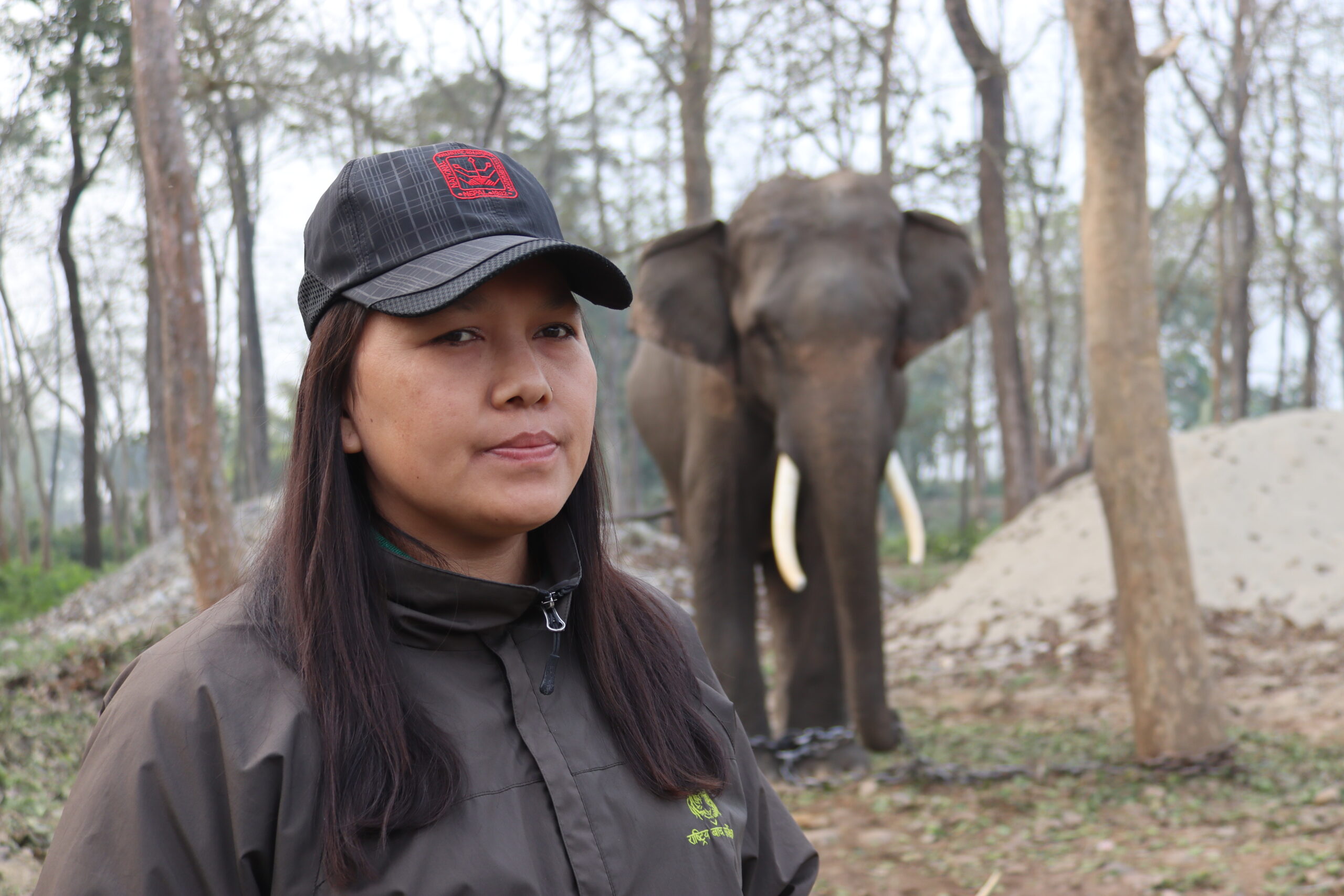 मध्यवर्ती क्षेत्रकी कौशिला मोक्तान १० वर्षदेखि वन्यजन्तु संरक्षणमा