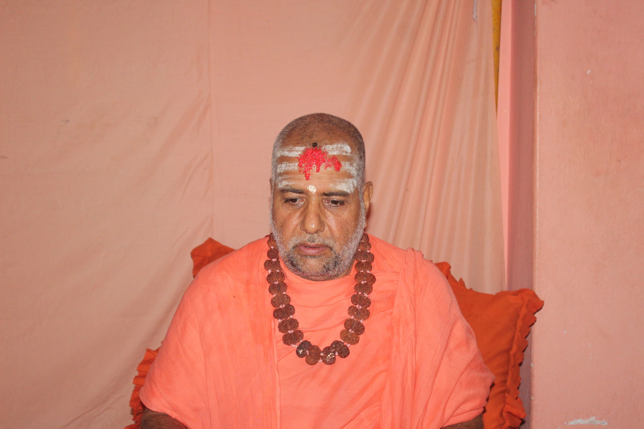 १००८ स्वामी ज्ञानानन्द सरस्वतीद्वारा कोटिहोम महायज्ञको अवलोकन