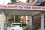 साढे दुई लाखबढी विरुवा उत्पादन गर्दै वन, विरुवामा नागरिकको रुची परिवर्तन
