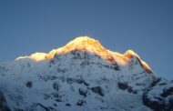 अन्नपूर्ण हिमाल आरोहणमा एकको मृत्यु, एकको जीवित उद्धार