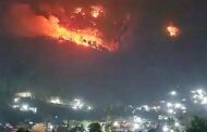 गुल्मीको रेसुङ्गा सामुदायिक वनमा भीषण  आगलागी