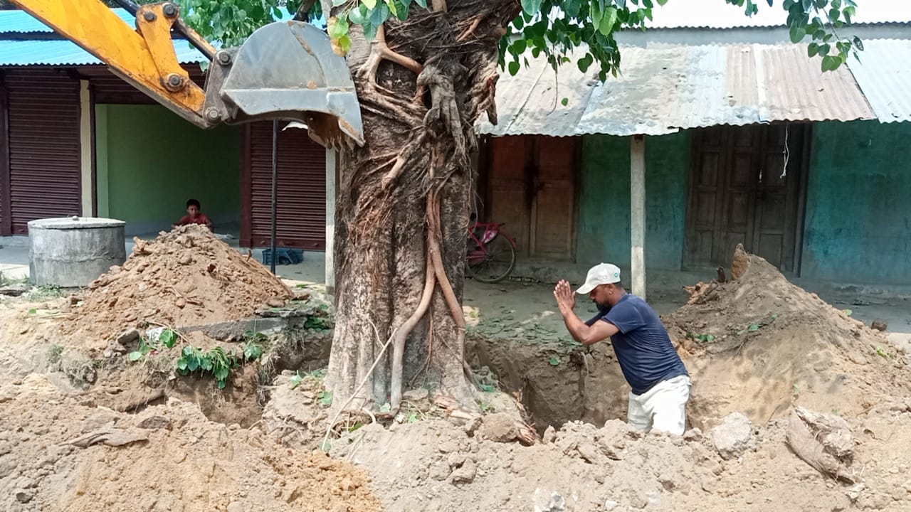 पिपलसँगै ढल्यो मन