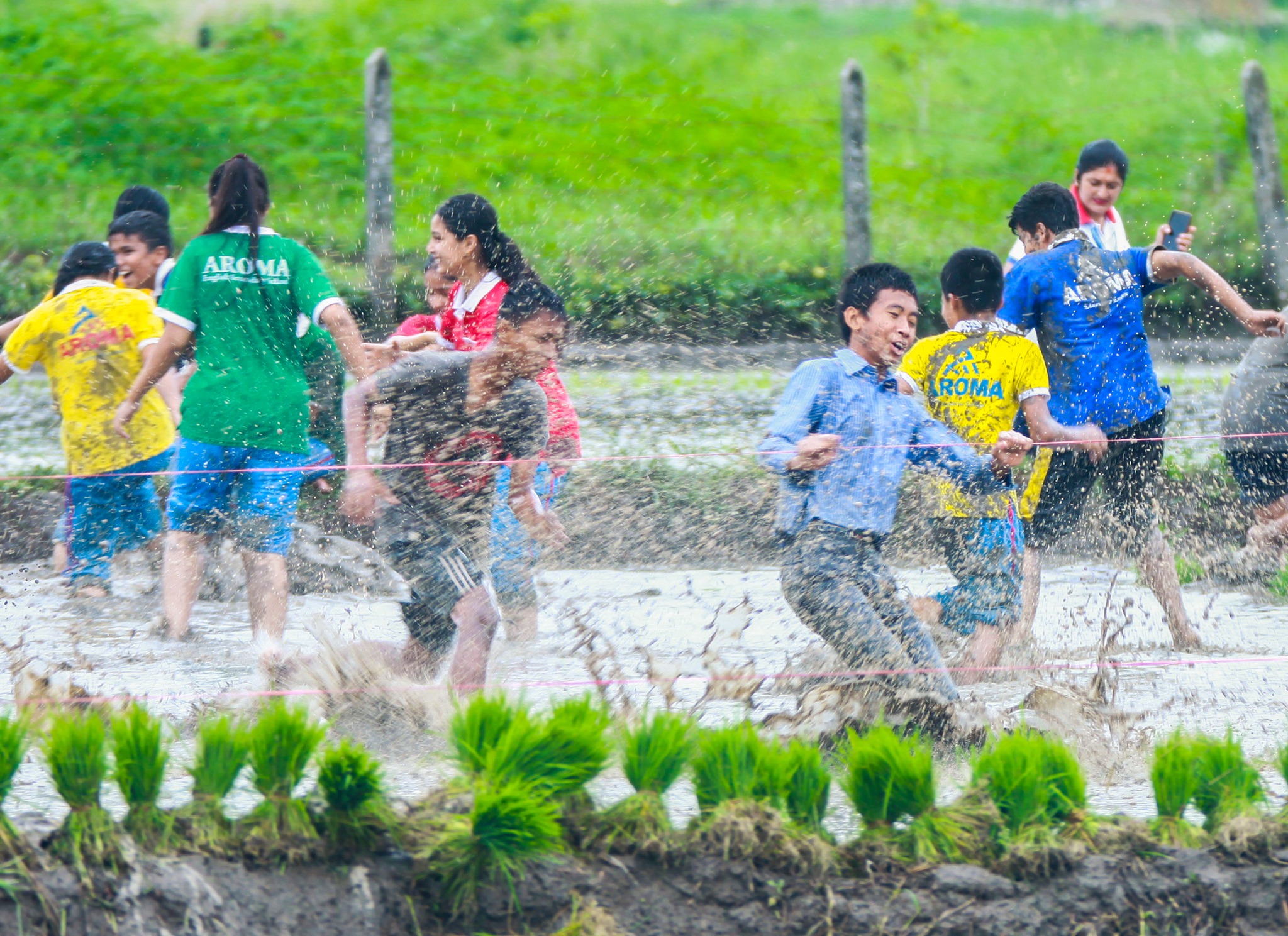 आज राष्ट्रिय धान दिवस, दहीचिउरा खाएर मनाइँदै