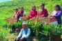 पुनः कोभिड–१९ विरुद्धको खोप अभियान सञ्चालन गर्दै कामपा