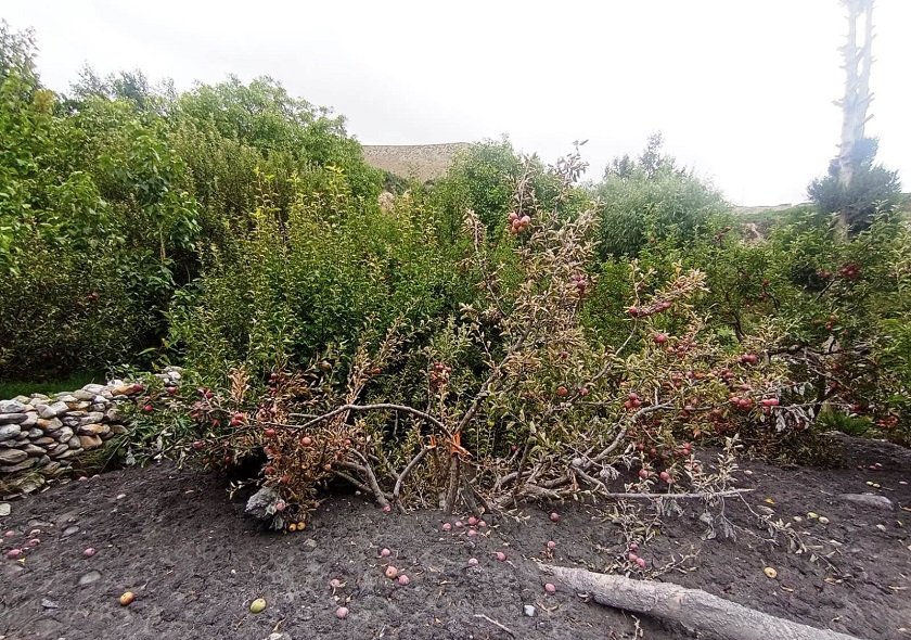 कागबेनी बाढीः करिब एक अर्ब बराबरको क्षति