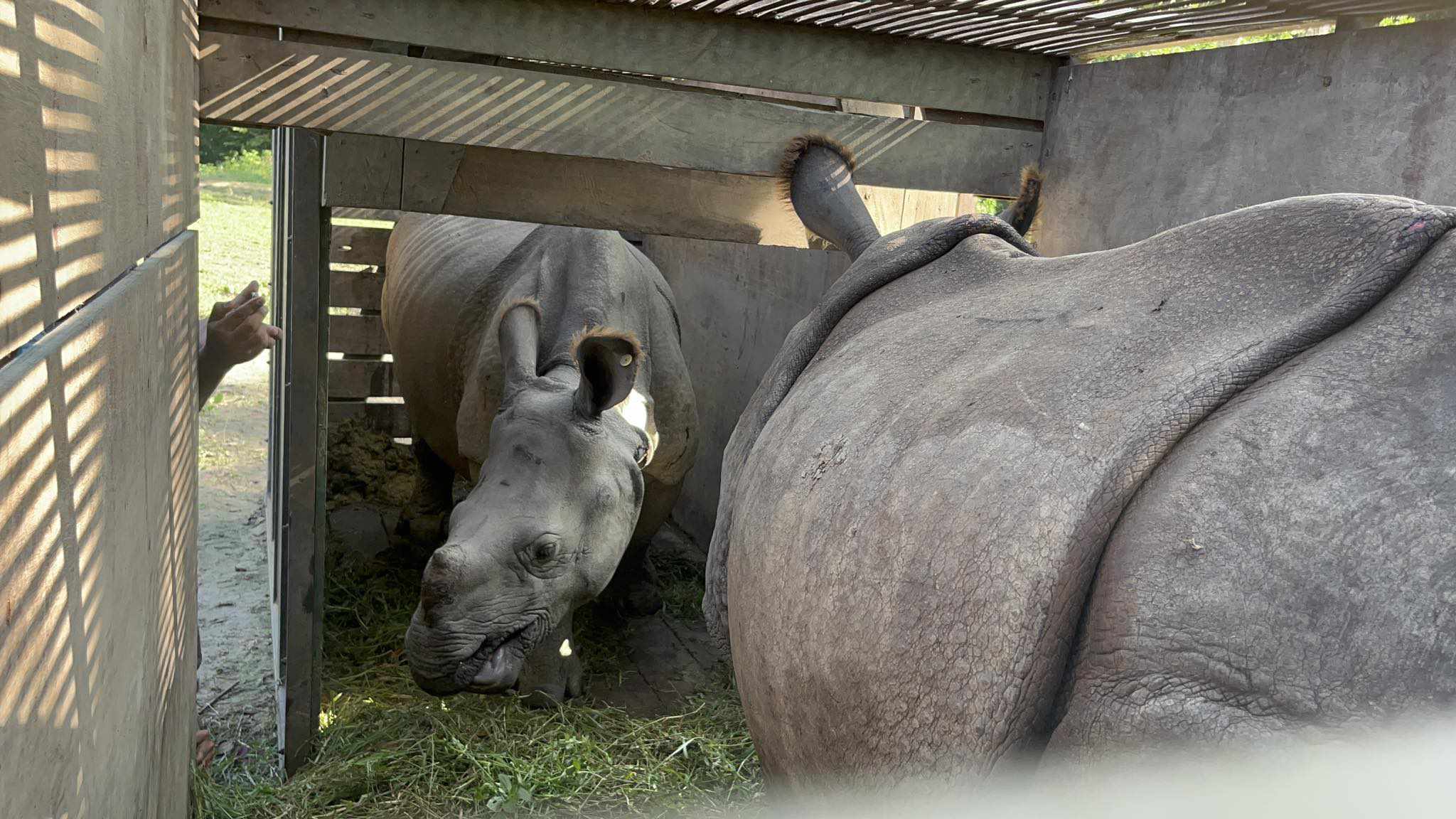 कोसीटप्पु वन्यजन्तु आरक्ष पठाइए पुष्पाञ्जली