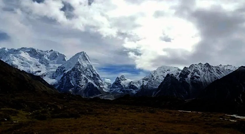कञ्चनजङ्घाको काखमा चौँरी रमाउँदा......