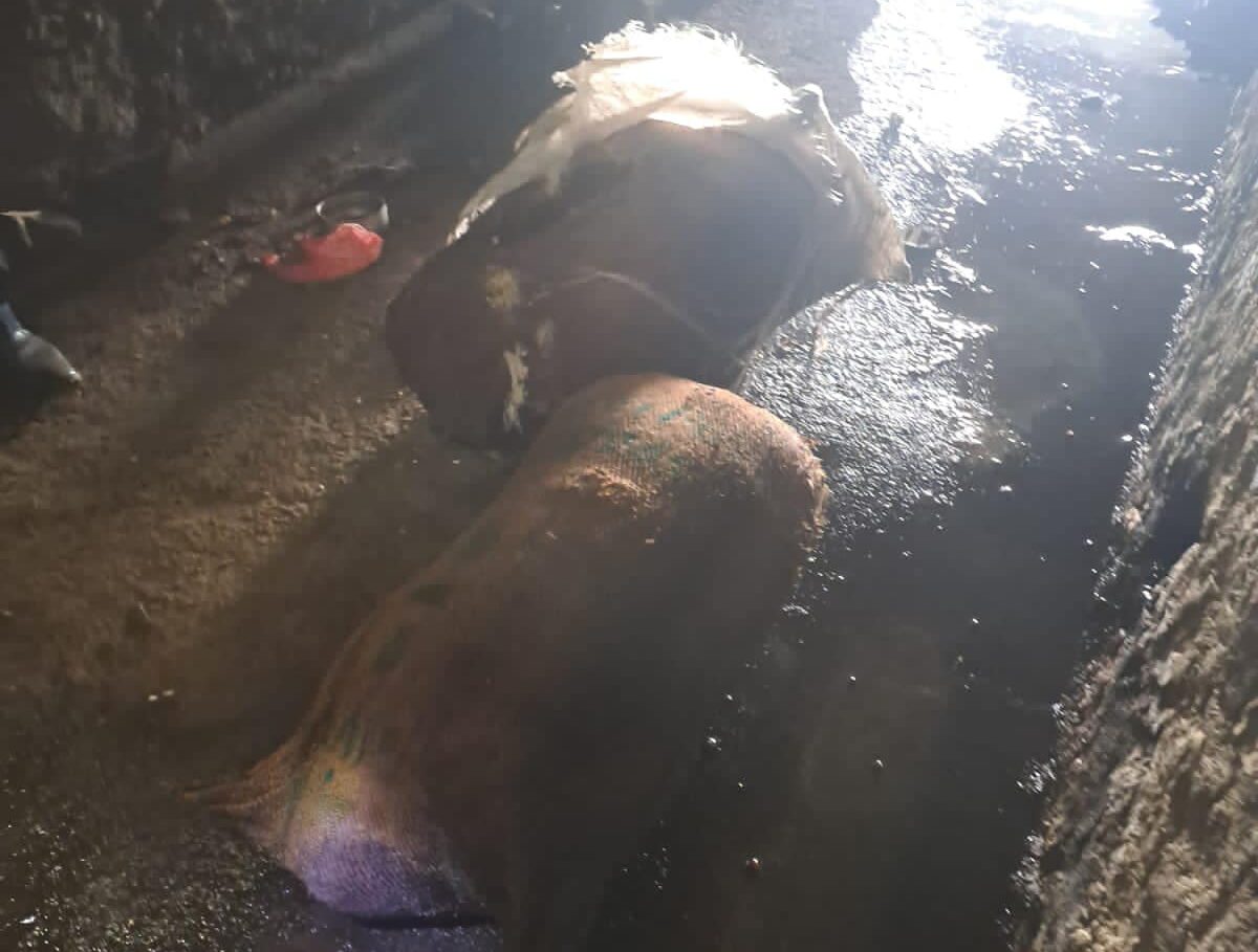 भरतपुरमा भेटिए बोराभित्रै हातखुट्टा बाँधिएका दुई वटा लास