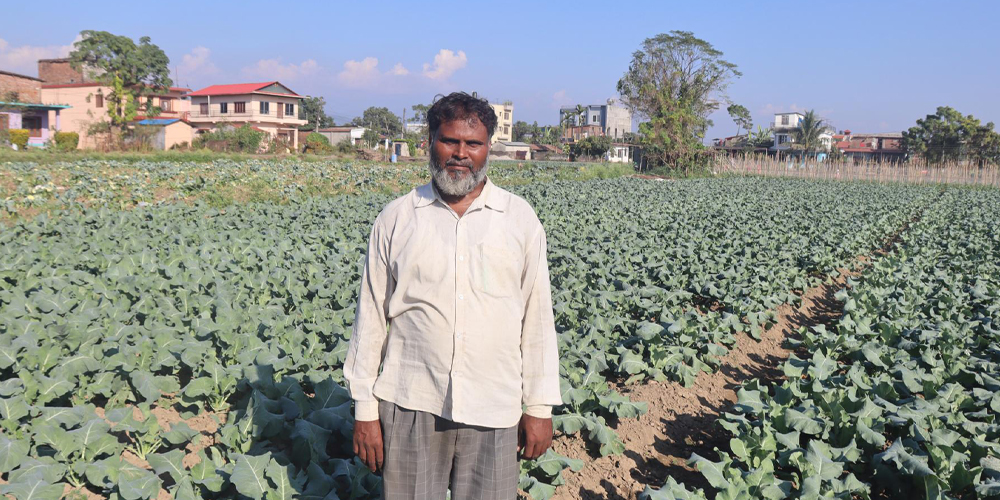 तरकारीले बजार नपाउँदा किसान चिन्तित