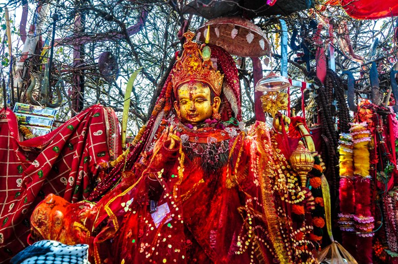 पाथीभरामा दशैँ–तिहारमै ६१ हजारभन्दा बढी दर्शनार्थी