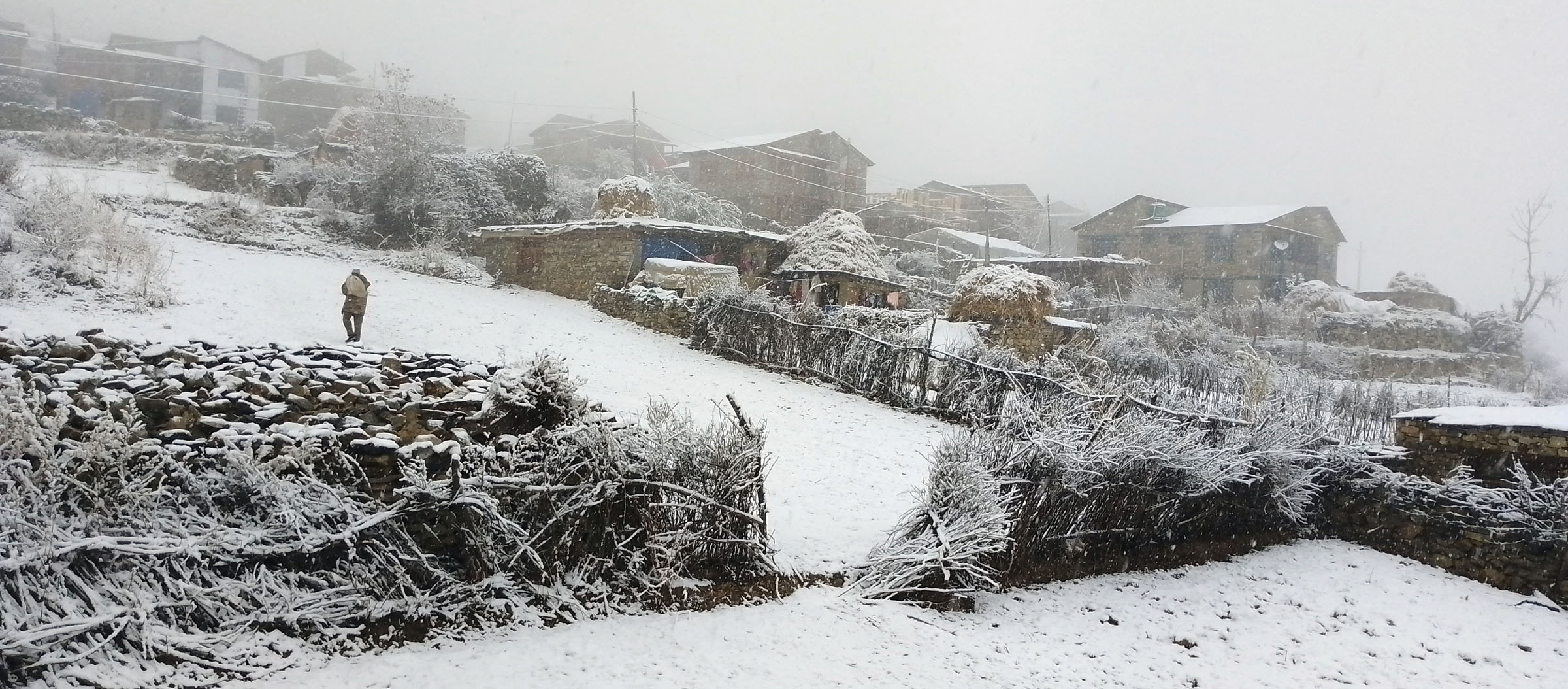 हुम्ला र मुस्ताङमा हिमपात