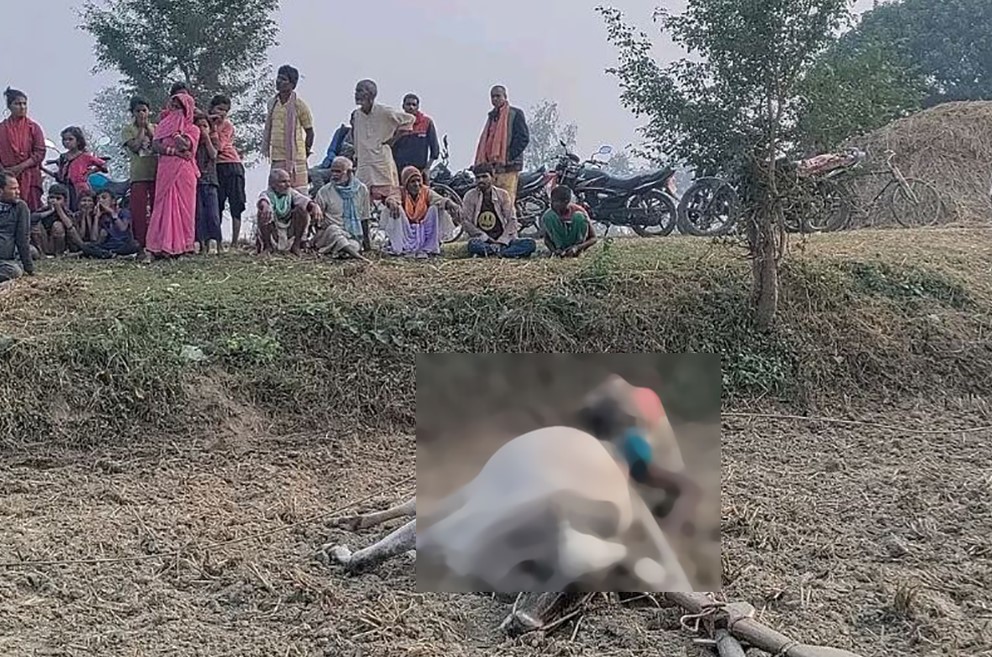 ११ केभीको तारमा परेर खेत जोतिरहेका एक किसानको मृत्यु