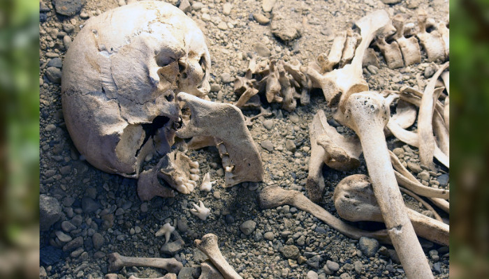 चितवनको खैरहनीमा मानिसको खप्पर र हड्डी फेला