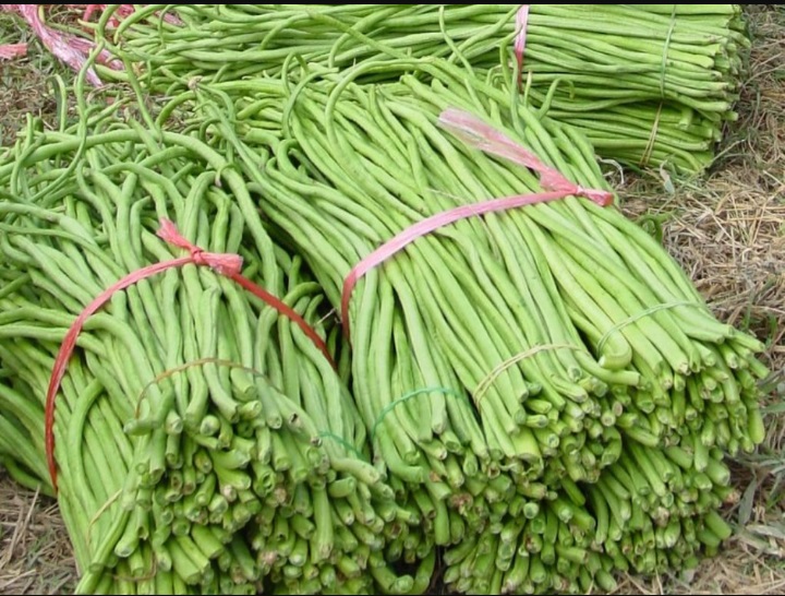 चितवनमा हाटबजारको बोडी खाँदा एकै परिवारका सात जना बिरामी