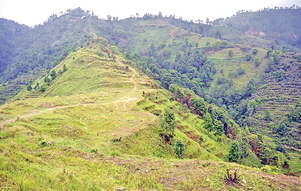 हदबन्दीको जग्गामा पतञ्जलीको रजाइँ, सिआइबीद्वारा अनुसन्धान सुरु