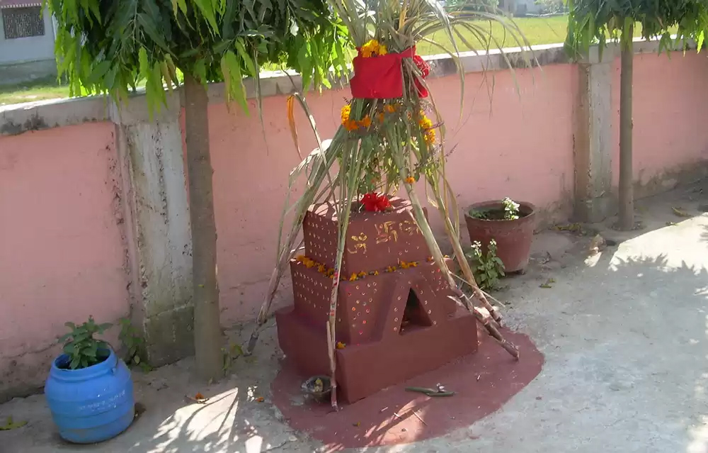 आज हरिबोधिनी एकादशी, तुलसीको विवाह गरेर मनाइदै