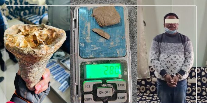 गैडाको खागसहित झापामा एक पक्राउ