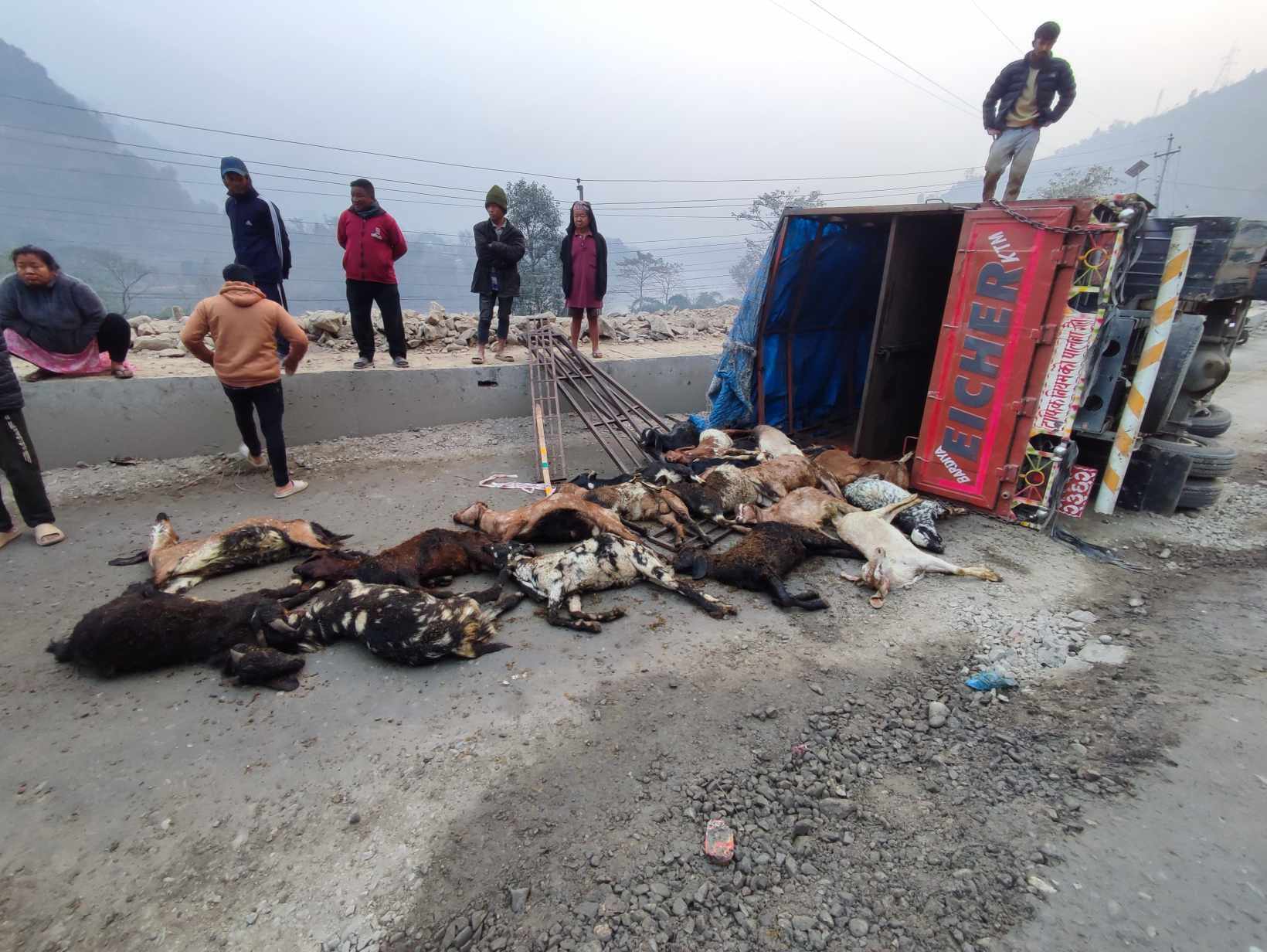 चितवनको इच्छाकामनामा मिनि ट्रक पल्टिँदा १९ वटा खसी बोका मरे
