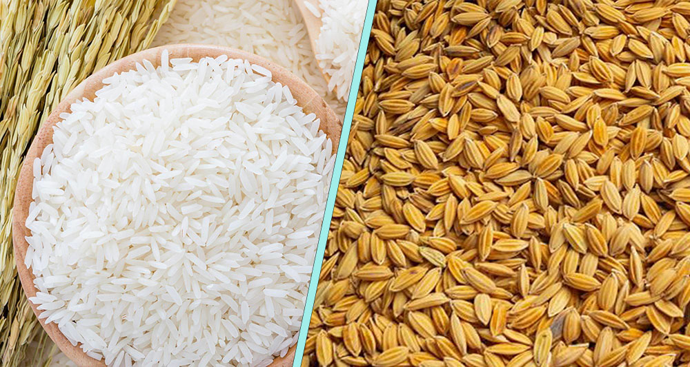 एघार महिनामा ३९ अर्बको धानचामल आयात