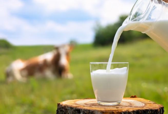 दूध शुद्ध छ कि छैन, यी तीन घरेलु तरिकाबाट थाहा पाउनुहोस्