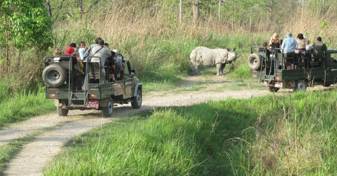 चितवन राष्ट्रिय निकुञ्जमा जिप सफारी बन्द