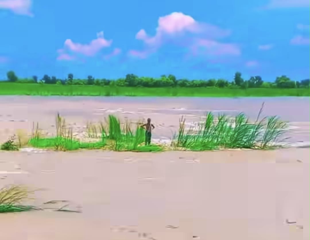 रौतहटमा बाढीमा परेका दुई बालकमध्ये एकको सकुशल उद्धार, अर्काको खोजी जारी