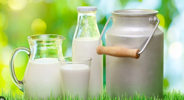 दूधको शुद्धता पहिचान गर्ने यी हुन् घरेलु तरिका
