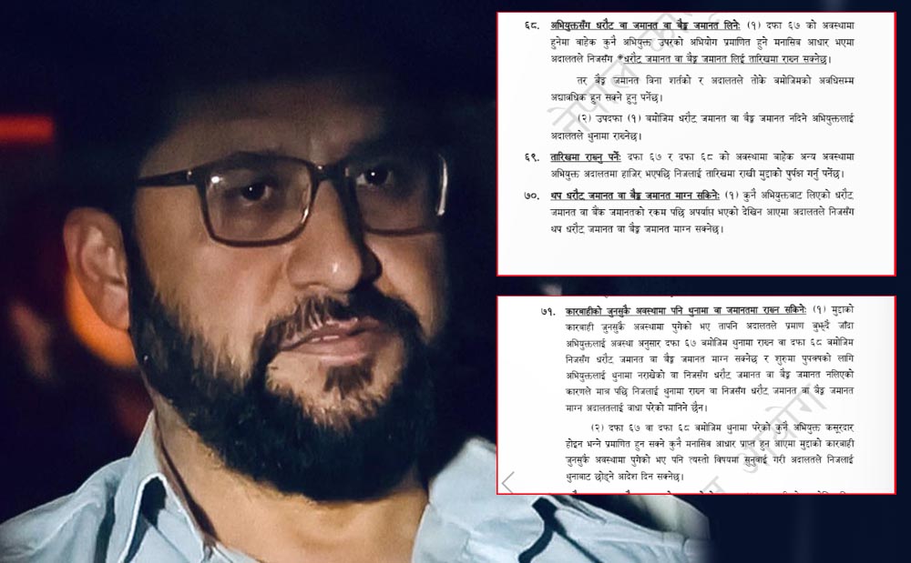रवि लामिछानेले के आधारमा दिए अदालतमा निवेदन ?